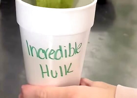 An Incredible Hulk smoothie in a cup with the name written on it in green marker
